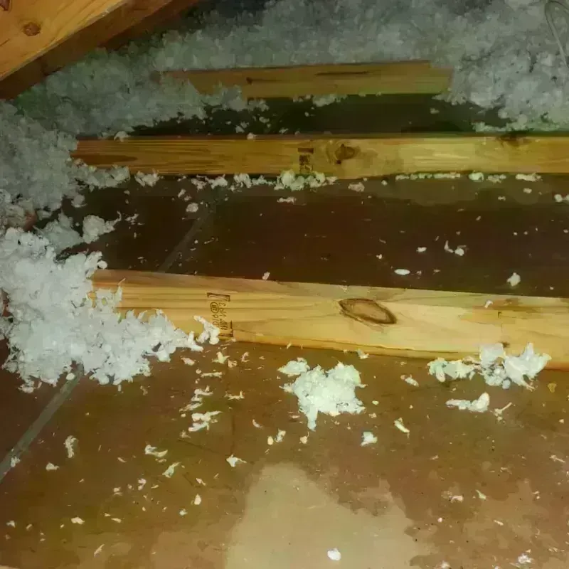 Attic Water Damage in Waynesboro, MS