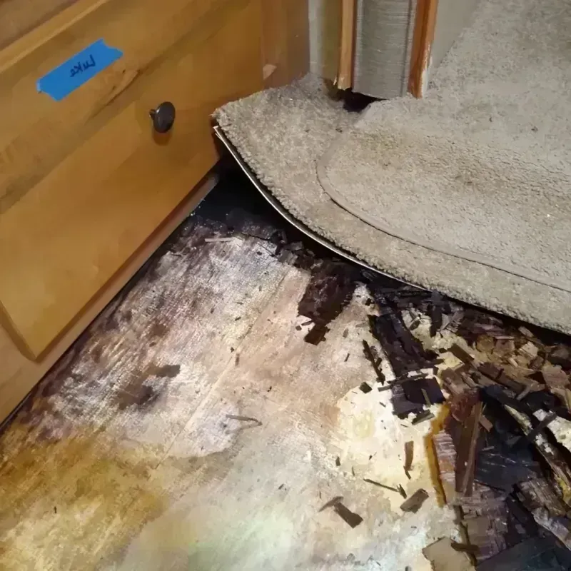 Wood Floor Water Damage in Waynesboro, MS